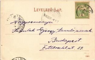 1905 Siófok, Balatoni különfürdők. Hirsch Mór kiadása (EK)