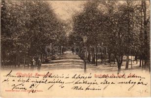 1899 (Vorläufer) Kassa, Kosice; Széchenyi réti közép sétány. Szent-Istványi Júlia kiadása / park promenade