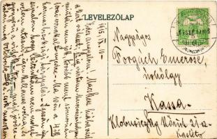 1915 Nagyenyed, Aiud; Kőközi részlet. Kiadja Földes Ede / Cheile Valisoarei / rock gorge, automobile