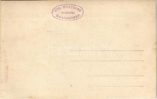 Balatonalmádi, Wollner Lipót gyógyszertára, Henn üzlete. Vitéz Mészáros fényképész, photo