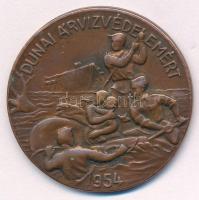 1954. &quot;Dunai árvízvédelemért&quot; bronz jelvény tű nélkül (37mm) T:XF