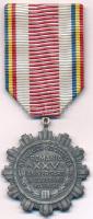 Románia 1969. "A felszabadulás 25. évfordulója" fém kitüntetés mellszalagon, szalagsávval T:XF ph. Romania 1969. "25th Anniversary of Liberation" metal medal with ribbon C:XF edge error