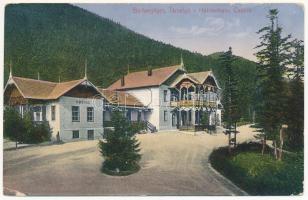 Barlangliget, Höhlenhain, Tatranská Kotlina (Magas-Tátra, Vysoké Tatry); Kávéház és társalgó / café, casino (ázott / wet damage)