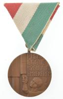 1975. "Pedagógus Szolgálati Emlékérem" bronz kitüntetés mellszalagon, eredeti tokban T:AU