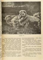 1905 Magyar Lányok. Képes hetilap fiatal leányok számára. Szerk.: Tutsek Anna. 1905. I-II. köt. (Tel...