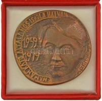 1979. "Hámán Kató Általános Iskola Hatvan - 1959-1979" öntött bronz emlékérem, hátoldalán gravírozással, eredeti tokban + "Közoktatási Törzsgárda - Heves megye" műgyantás fém jelvény (2db) T:AU