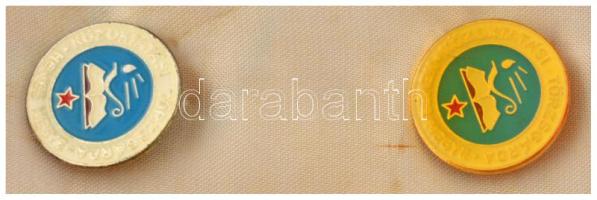 1979. "Hámán Kató Általános Iskola Hatvan - 1959-1979" öntött bronz emlékérem, hátoldalán ...