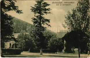 Barlangliget, Höhlenhain, Tatranská Kotlina (Magas-Tátra, Vysoké Tatry); Höhlen-Wald / Las w wertepach / nyaralók / villas (EB)