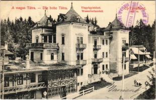 1909 Újtátrafüred, Neu-Schmecks, Novy Smokovec (Magas-Tátra, Vysoké Tatry); vízgyógyintézet. Divald Károly műintézete 1490-1908. / spa, bath, sanatorium