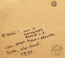 ef.Zámbó (efZámbó) István (1950-): Csont piros lábossal, 1992. Olaj, farost, jelezve középen lent, h...