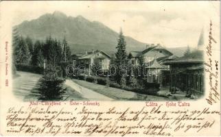 1901 Alsótátrafüred, Unter-Schmecks, Dolny Smokovec (Magas-Tátra, Vysoké Tatry); Középorom, Lomnici-...