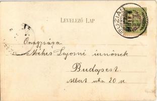 1904 Buziás, Az új artézi szökőkút mük. 1903. 16/XII. Nosek Gusztáv kiadása / mineral water well (EB...