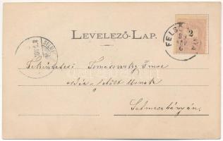 1899 (Vorläufer) Felsőbánya, Baia Sprie; Római katolikus templom, Fővölgy, városháza / church, valle...