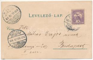 1900 Szászrégen, Reghin; Haupteingang zum Stadtpark, Festhalle. Gustav Rösler No. 1798. / főbejárat ...