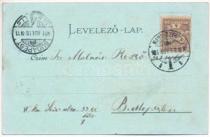 1901 Nagyszeben, Hermannstadt, Sibiu; K.u.K. Korpscomando, Park der K.u.K. Kadettenschule / Cs. és k...