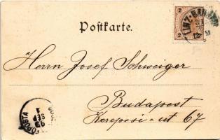 1899 (Vorläufer) Linz, Blick auf Bauernberg, Konstruktion / construction