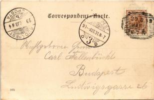 1899 (Vorläufer) Schärding, Stadtplatz, Franz Feichtinger / square, shop. J. Heindl