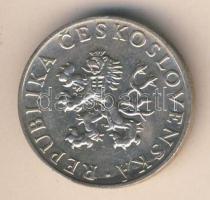 Csehszlovákia 1955. 10K Ag "10. függetlenségi évforduló" T:2