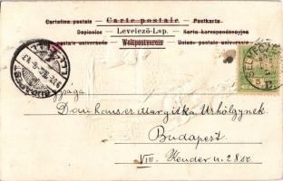 1902 Dombornyomott Krampusz üdvözlet / Embossed Krampus greeting