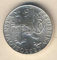 Csehszlovákia 1948. 50K Ag "Prágai felkelés" T:2