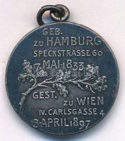 Ausztria ~1900. "Johannes Brahms" jelzetlen Ag emlékérem füllel. Szign.: Anton Scharff (6,...