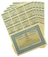 Budapest 1997. "A 'DAM Diósgyőr' Diósgyőri Acélművek Ipari és Kereskedelmi Részvénytársaság" törzsrészvénye 10.000Ft-ról (5x) sorszámkövetők egy kihagyással, szelvényekkel T:AU