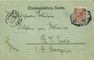 1898 (Vorläufer) Wiener Neustadt, Bécsújhely; Panorama vom Pfarrthurm / night (EK)