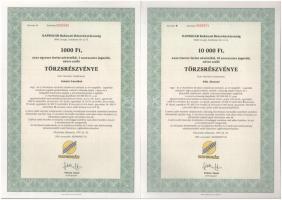 Csurgó 1997. "Napsugár Ruházati Részvénytársaság" törzsrészvénye 1000Ft, 10.000Ft, 50.000Ft és 100.000Ft-ról T:AU