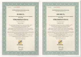 Csurgó 1997. "Napsugár Ruházati Részvénytársaság" törzsrészvénye 1000Ft, 10.000Ft, 50.000F...