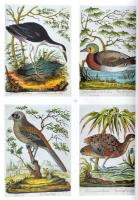 Dorotheum 2 darab árverési katalógus, könyvek és grafikák témában, 2017 és 2019