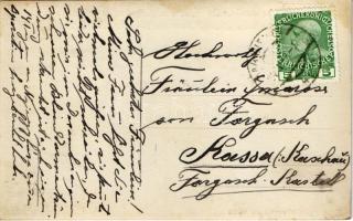 1913 Wien, Vienna, Bécs VIII. Adolf Delasch Hotel und Restaurant "Riedhof", Garten mit Ver...