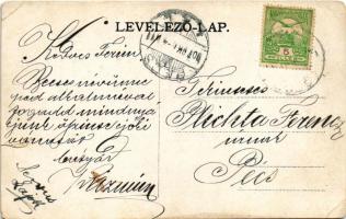 1907 Perlak, Prelog; Alsó-Muraközi Takarékpénztár, Muraköz szálloda, Sosterics Pál üzlete / savings ...