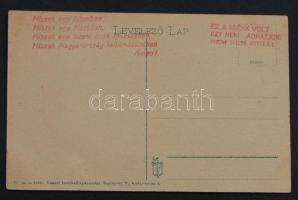 Kassa with irredenta propaganda stamp (EB)