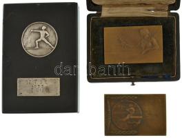 3db-os sport emlékplakett tétel, közte 2db bronz tornász díjplakett, gravírozva, az egyik eredeti, kopott dísztokban + 1933. "SZ.T.S.E. I. díj" jelzett Ag vívó díjplakett és gravírozott tábla, sérült obszidián (?) talapzaton (0.800/35mm/18x40mm, talapzat:110x74mm) T:XF,VF