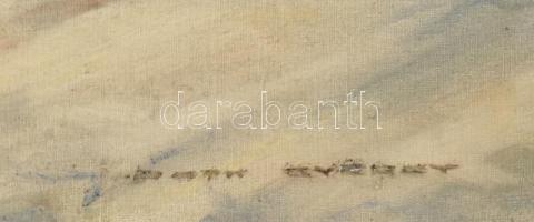 Olvashatatlan jelzéssel (Németh György?), XX. sz. első fele/közepe: Lovaskocsi. Olaj, vászon. Dekora...