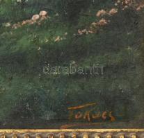 Takács jelzéssel: Faluvége. Olaj, falemez. Dekoratív, sérült fakeretben. 30,5x39,5 cm