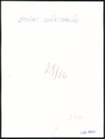 Csák Miklós (1933-2013): Áttört széktámlák, a hátoldalon feliratozott, pecséttel jelzett fotó, 23,5x...