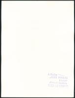 Csák Miklós (1933-2013): Falusi házbelső (cím nélkül), a hátoldalon pecséttel jelzett fotó, 24x18 cm