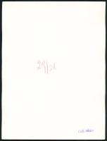 Csák Miklós (1933-2013): Falusi ház (cím nélkül), a hátoldalon pecséttel jelzett fotó, 24x18 cm