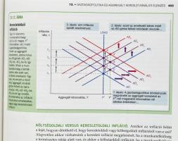 Frederic S. Mishkin: Makroökonómia - Gazdaságpolitika és gyakorlat. Bp., 2020, Alinea. Kiadói karton...
