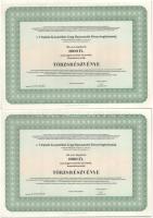 Budapest 1996. &quot;A Virginia Kárpótlási Jegy Hasznosító Részvénytársaság&#039; törzsrészvénye 1000Ft-ról szelvényekkel (3x) sorszámkövetők &quot;A 0534989 - A 0534991&quot; T:UNC,AU
