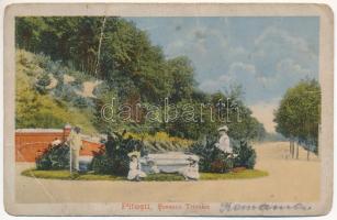1918 Pitesti, Soseaua Trivalea / street, fountain + "4. Zg. / Telgk. 62. (fa)