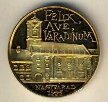 1995. "Szt.László-Nagyvárad" aranyozott ffém emlékérem T:PP
