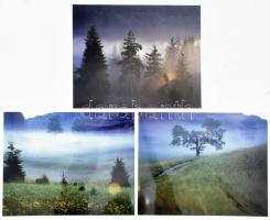 Csák Miklós (1933-2013): Ködös erdő, 3 db jelzetlen fotóművészeti alkotás, 24,5×30 cm