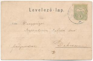 1905 Szikla, Szihla, Sihla (Breznóbánya); Erdészlak és gőzfűrész. Hável Á. készítette / forestry hou...