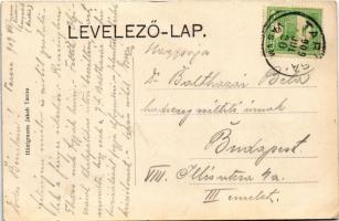 1909 Tarcsafürdő, Bad Tatzmannsdorf; Batthyány szálló. Hönigmann Jakab kiadása / Hotel (EK)