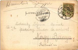 1903 Nagyszeben, Hermannstadt, Sibiu; Conditorei Julis Boda / cukrászda belső. Jos. Drotleff / confe...