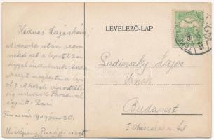 1909 Temesvár, Timisoara; Koronaherczeg szálloda és belseje, Szálasi Alajos szállodás - reklám / hot...