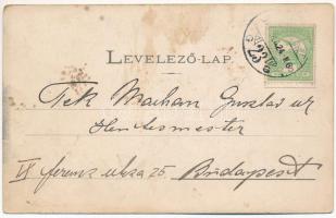 1901 Temesvár, Timisoara; Gyárvárosi izraelita templom, zsinagóga / synagogue in Fabric (fl)