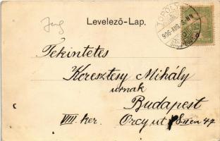 1906 Topolya, Bácstopolya, Bács-Topolya, Backa Topola; Begovits Mátyás háza és üzlete, Sztreck Károl...